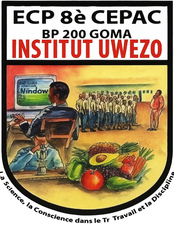 Logo Institut Uwezo - Partenaire V-Zone Cloud